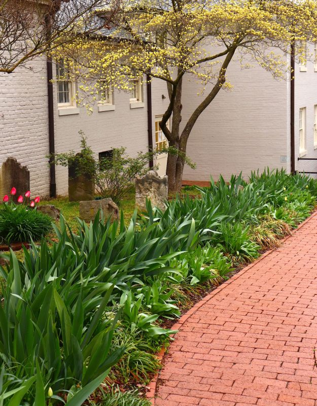 Brick Pathway Repair in Newnan, GA