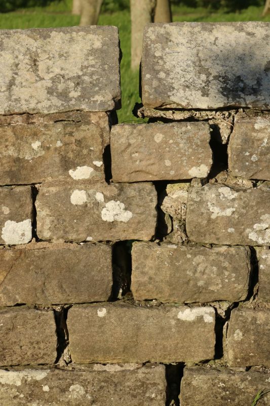 Stone Wall Repair in Tyrone, GA